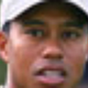 Illustration for article titled Tiger Woods Continues Hitting Bucket Of Balls After Hearing Wife Has Gone Into Labor